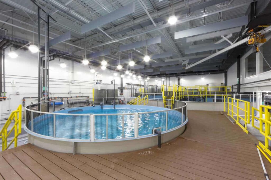 National Aquarium - Animal Care and Rescue Center Pool Engineering Services