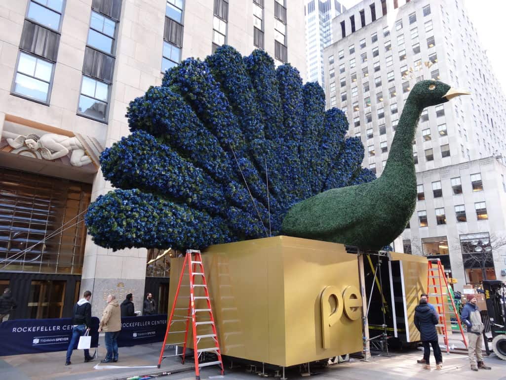 Front View of NBC Peacock Pop Up Display in Rockefeller Center for Peacock TV