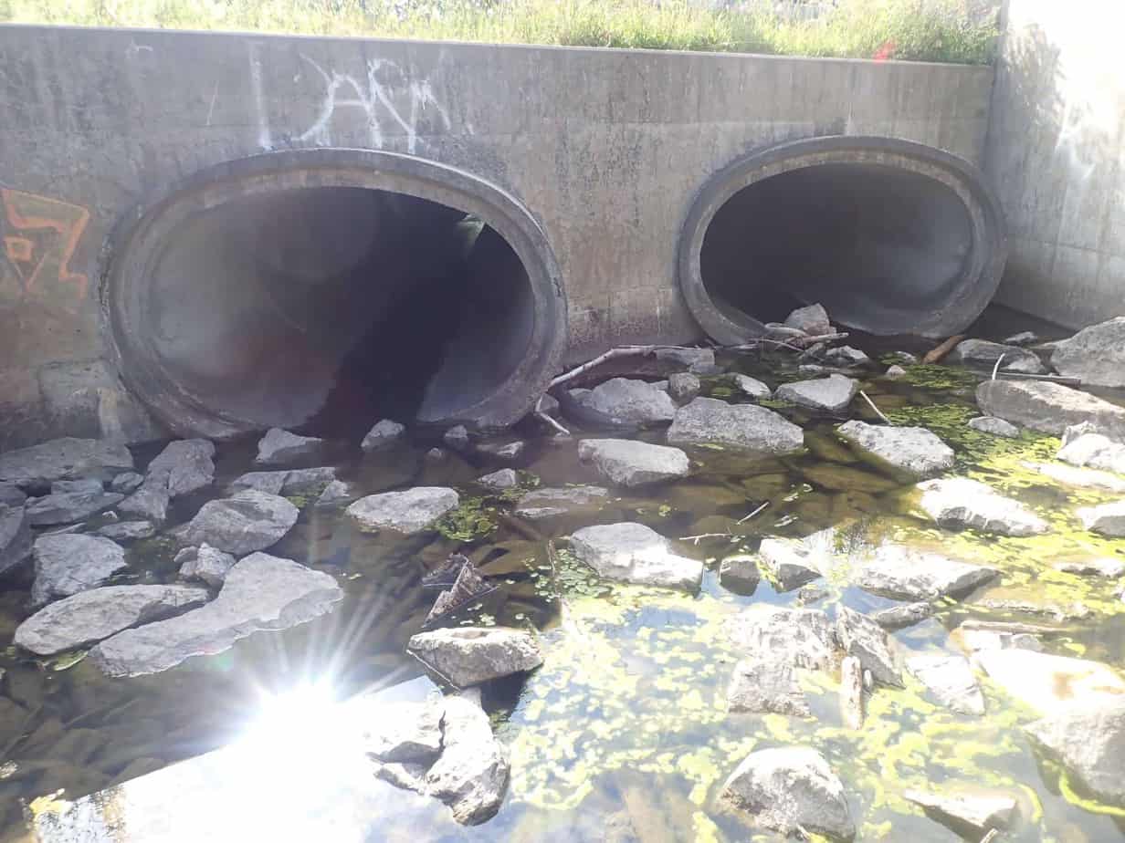New York State Canal System Inspection
