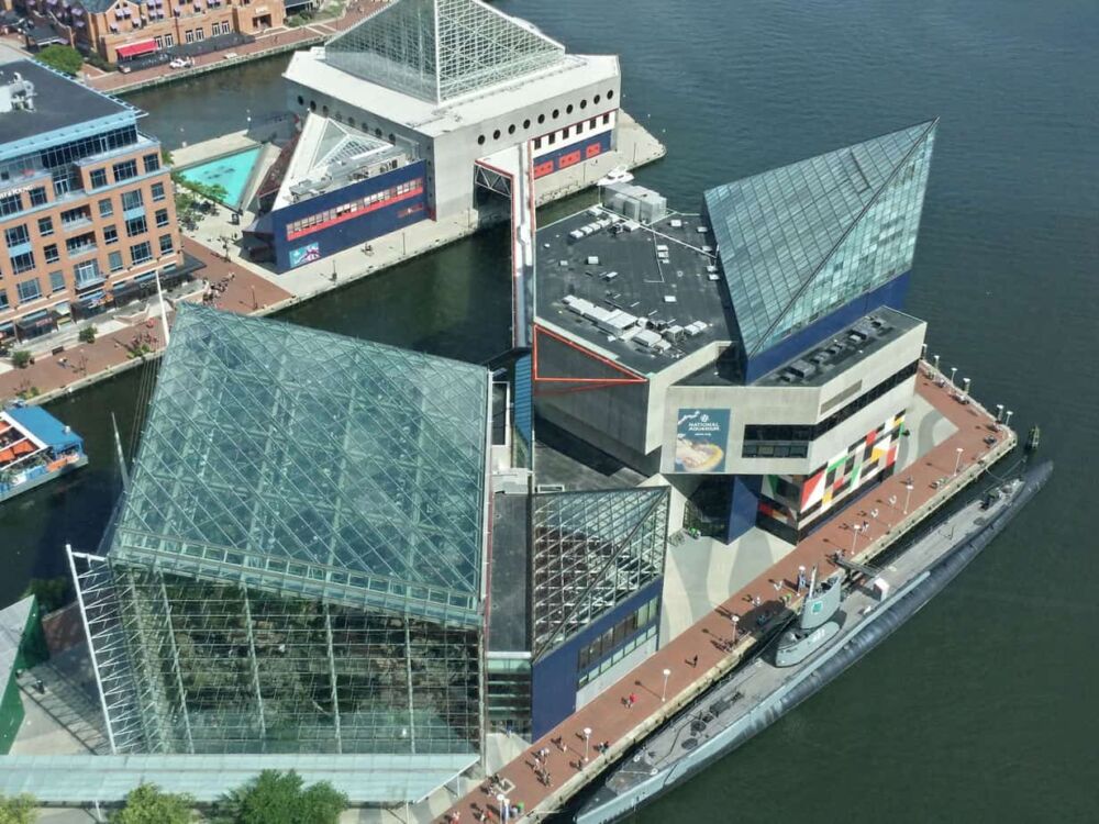 Rain Forest Exhibit Skylight and Facade Consulting