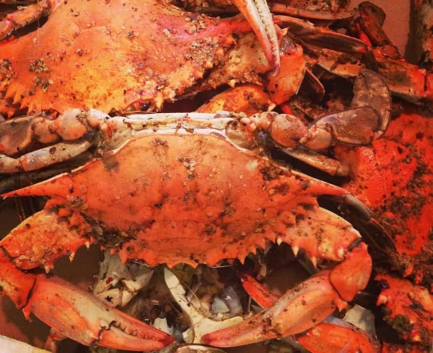 Ports, Coastal and Waterfront Engineering McLaren Engineering Group