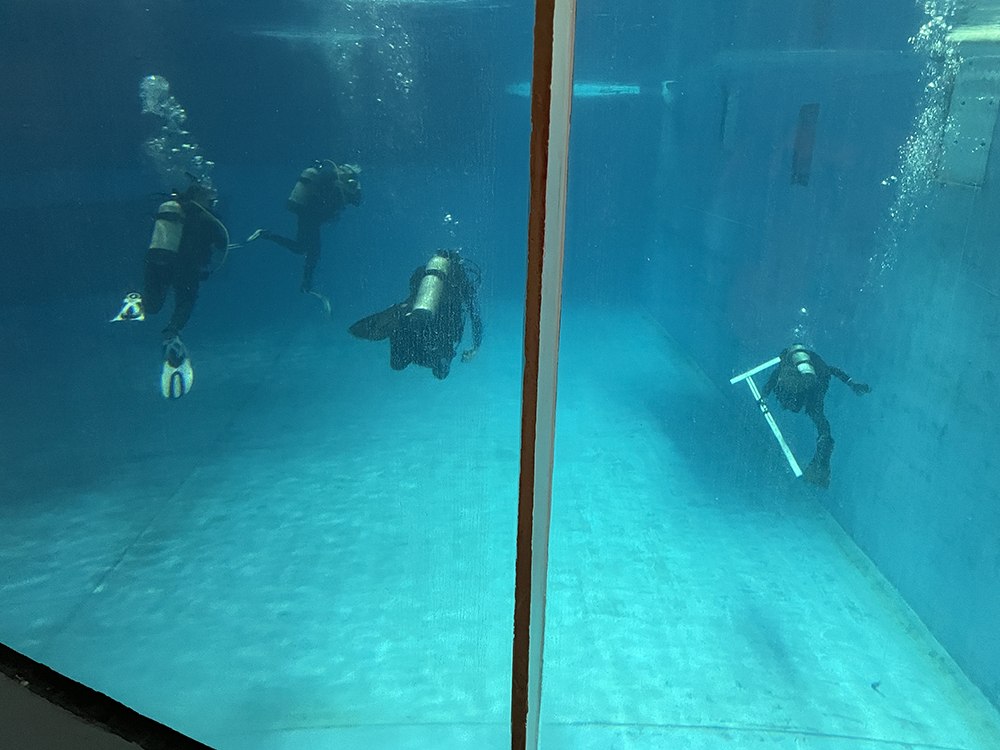 National Aquarium Dolphin Discovery Inspections