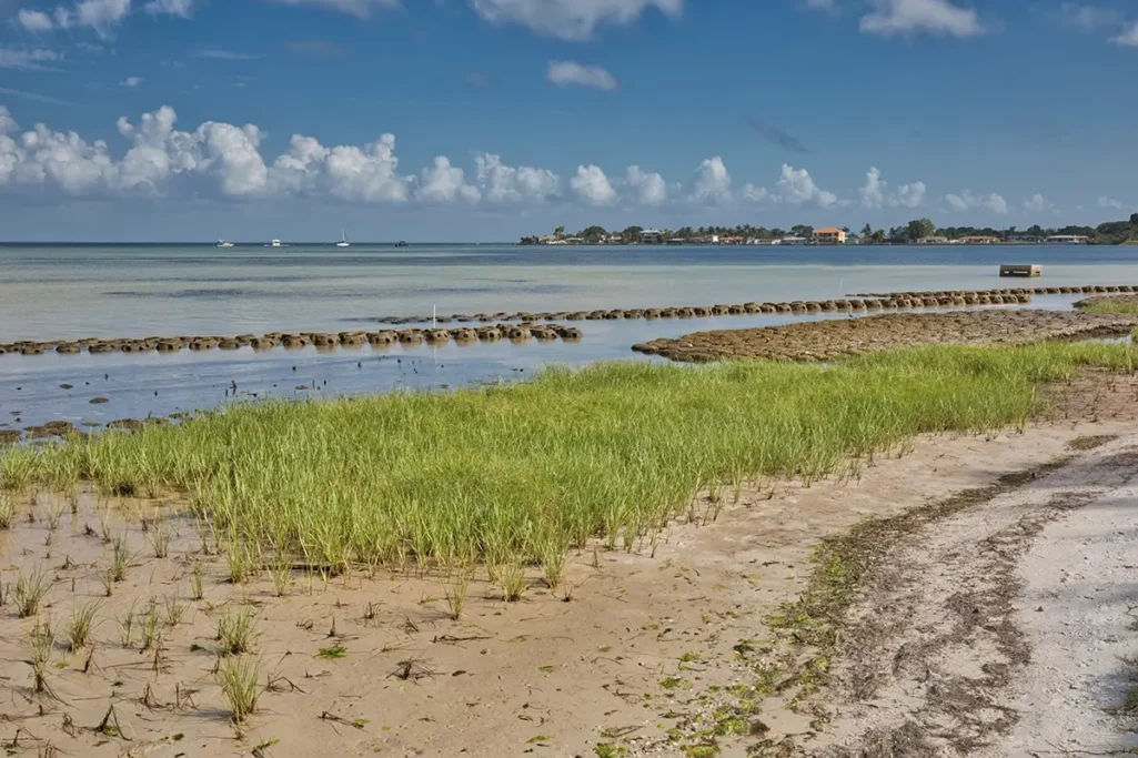 Example of how living shorelines with oyster reefs and marsh grass can enhance coast line resilience in Long Island
