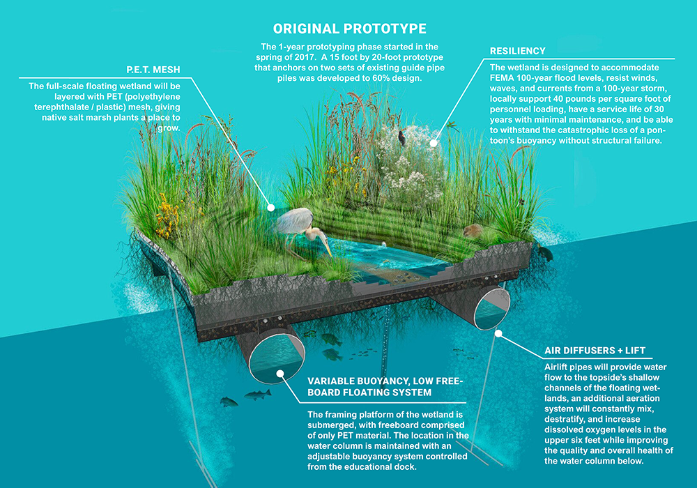 Drawing of the National Aquarium Floating Wetland Protype