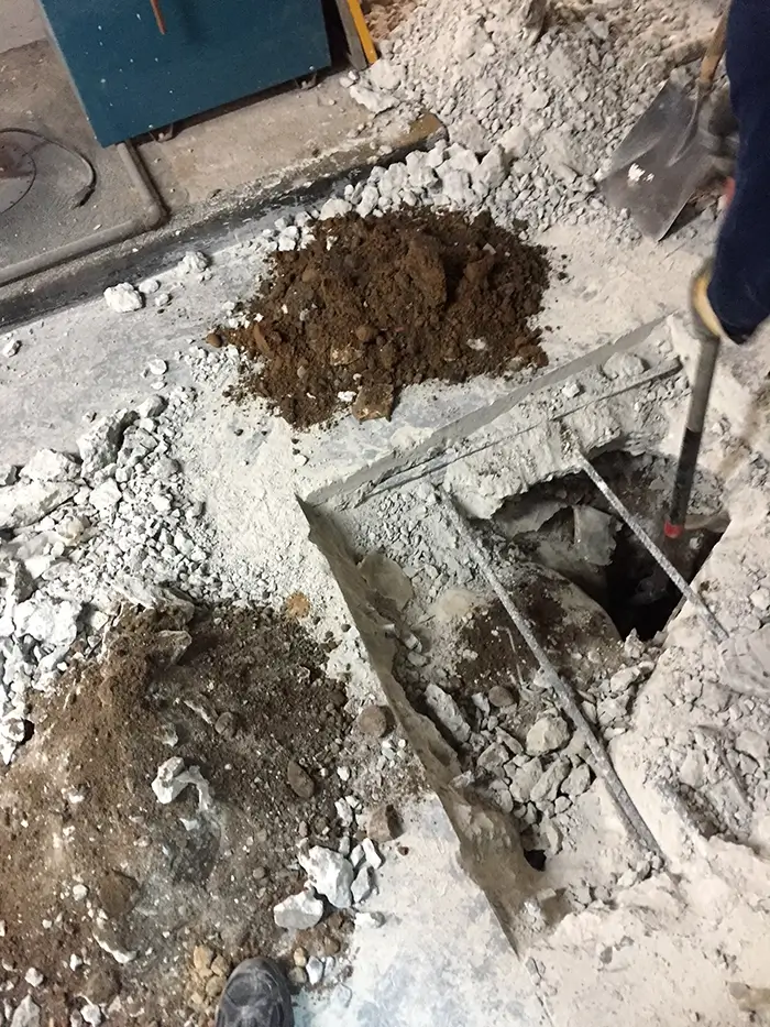 Test Pit at Red Hook Library