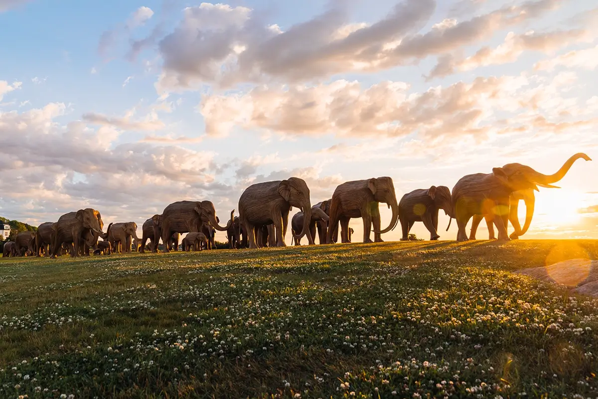 McLaren provided stability analysis for these life-size Elephant family sculptures